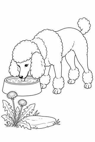 Curly-coated dog standing with four paws beside a round water bowl, head lowered to drink, with dandelions and a stepping stone nearby.