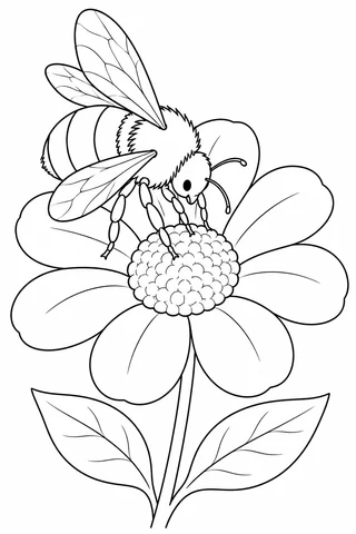 Large bee with outlined body bands and raised wings visiting the textured center of a daisy with broad petals and two leaves.
