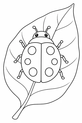 Top-view ladybird with six legs, two antennae and outlined spots rests on a broad veined leaf.