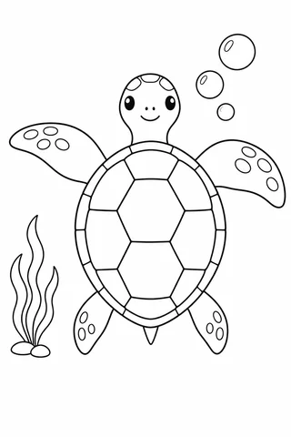 An overhead sea turtle with two large front flippers, two smaller rear flippers, a broad segmented shell, head and small tail, beside bubbles and seaweed.
