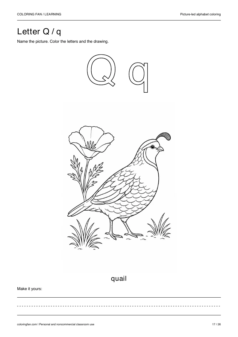 Actual pictures letter Q A4 PDF preview: uppercase and lowercase outlines with a quail picture and writing space.